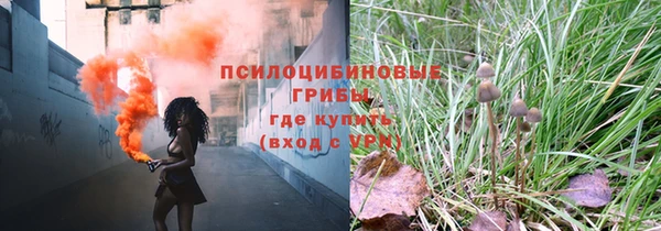 прущие крисы Снежногорск