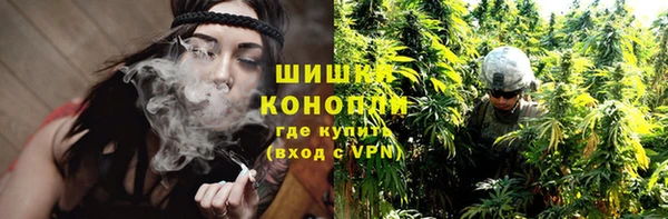 гашик Бородино